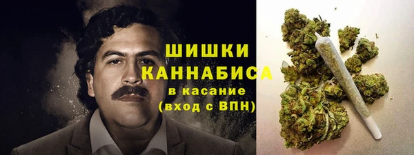 стаф Бородино