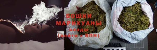 стаф Бородино