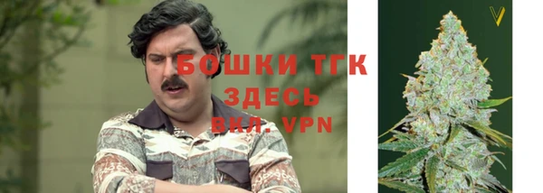 стаф Бородино