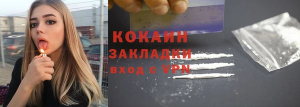 стаф Бородино