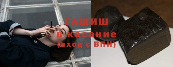 стаф Бородино