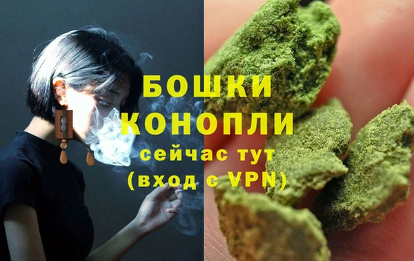 стаф Бородино