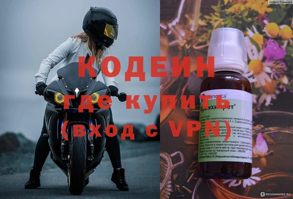стаф Бородино
