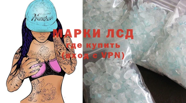 стаф Бородино