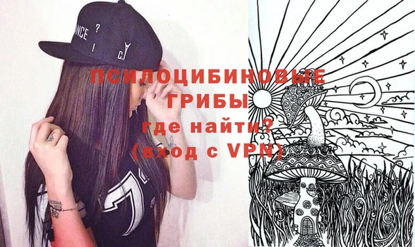 стаф Бородино