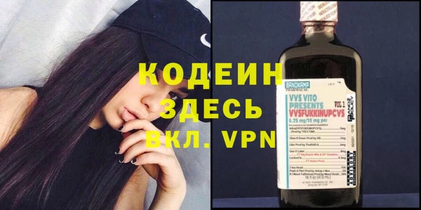 стаф Бородино